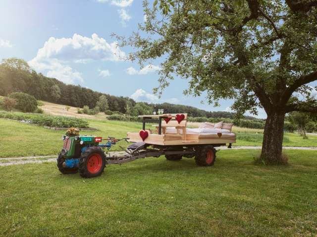 Schlafen unter dem Apfelbaum