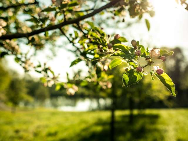 Übernachtungstipps von Madame Bluescht