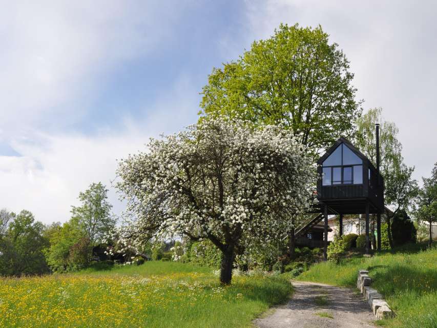 Baumhaus Thurgau